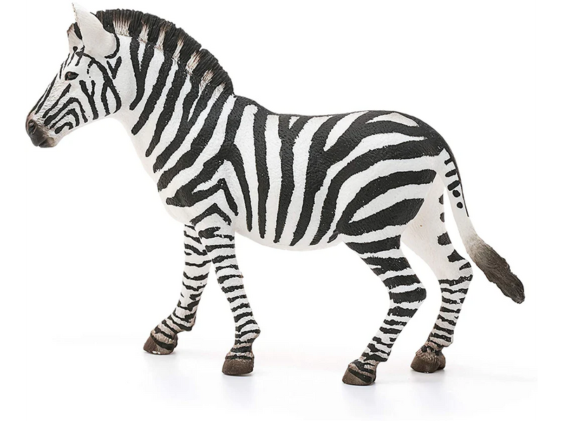 Safari - Zebra Stute