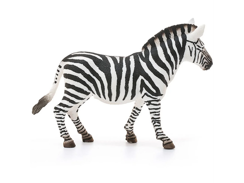 Safari - Zebra Stute