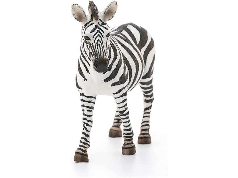 Safari - Zebra Stute