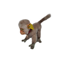 Steiff Äffchen Coco 1310/00