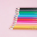 STUDIO PETS – BUNTSTIFTE (12ER-SET)