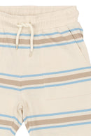 The New | Shorts | Multi Striped