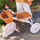 Banwood Trike ab 2 Jahre - neu
