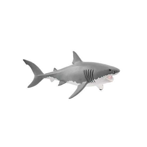 Ocean - Great White Shark