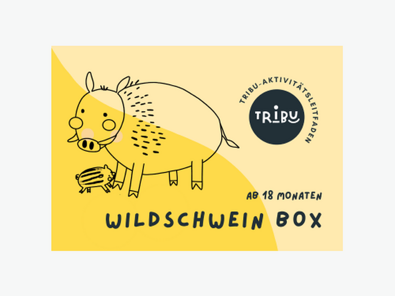 Wild Boar Toy Box • from 18 months+