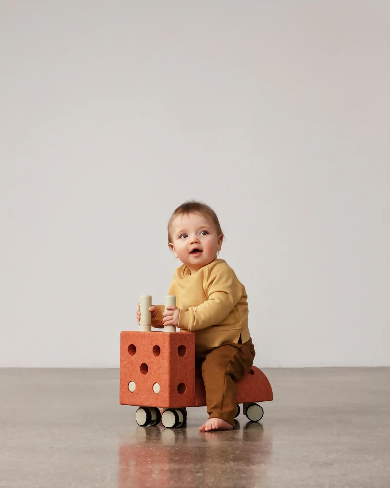 Tiny-Ride-Burnt-Orange_Dusty-Green-Hover-slide-2_800x