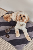 Kaya Dog Blanket - Small