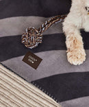 Kaya Dog Blanket - Small