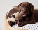 Kaya Dog Blanket - Large