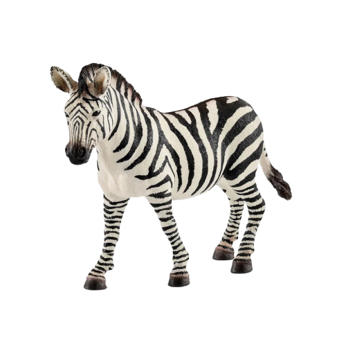 Safari - Zebra Stute