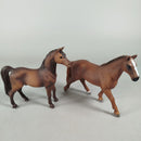 Schleich Bundle Pferdefiguren 13279 13290 13625 Set von 7 Figuren