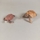 Schleich Bundle Meeresbewohner Set von 10 Tierfiguren