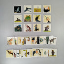 Kosmos, Oetinger Spiele Würfeln, Memory & Rennen