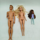 Mattel Bundle Barbie & Ken 6 Puppen