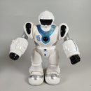 Diverse Set aus 2 interaktiven Roboterspielzeugen