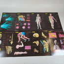 Walter Anatomiemodell für Kinder - Lernset ab 9+ Jahren