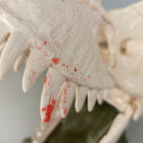 Schleich Skull Trap 42348 Dino Schädel Spielset