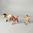 Schleich Bundle Set von 5 Pferde & Reiterfigur