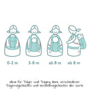B-Ware Fillikid Babytrage Tragesystem Babytrageposition Für Bauch Hüfte Rücken Grau