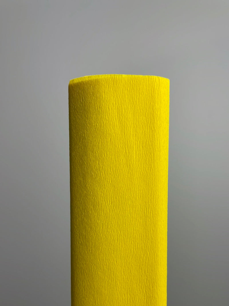 Paper Poetry • Krepp-Papier 50x250cm