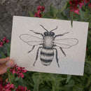 Hannibelle Postkarte aus Graspapier DIN A6