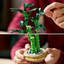 B-Ware Lego Botanicals Icons Bauset 10344 Glücks Bambus Kunstpflanze Pflanzendeko