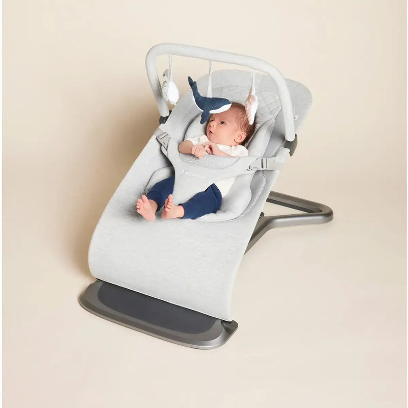 Ergobaby Bouncer Spielbogen