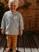 Feinstrick Pullover "Hi Dino" 122/128