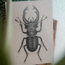 Hannibelle Postkarte aus Graspapier DIN A6