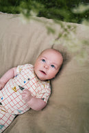 Riffle Amsterdam Suite Boat 68