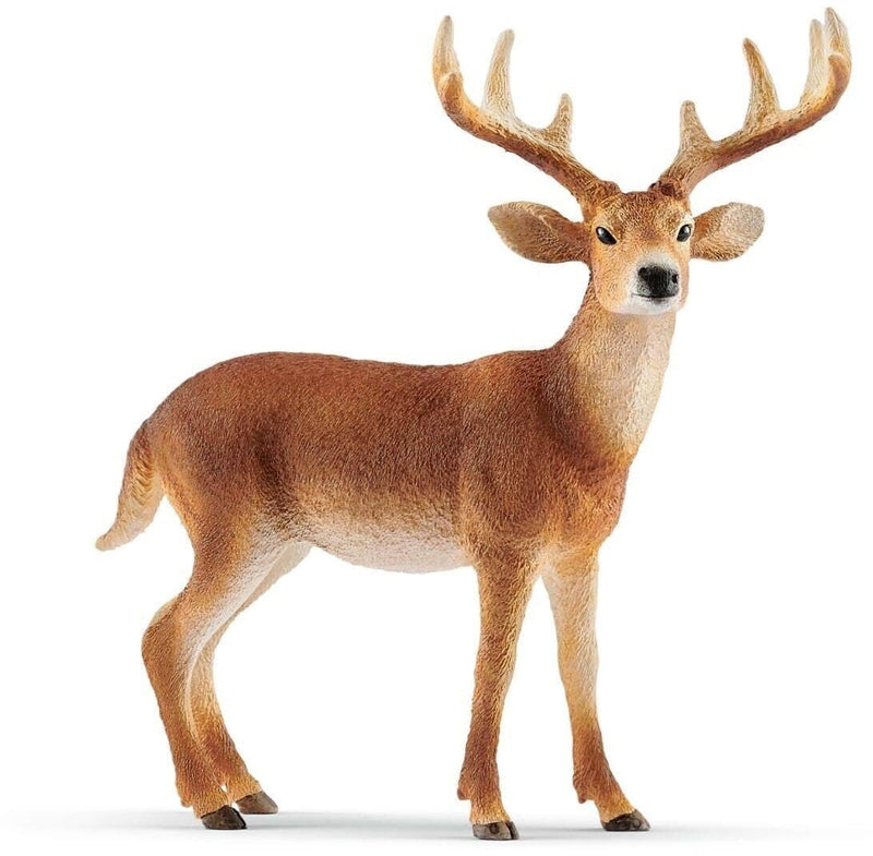 Schleich Weißwedelhirsch (14818)