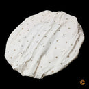 Stokke Sleepi Mini V3 Spannbettlaken Bettlaken Baby Bettwäsche Beige Baumwolle B-Ware