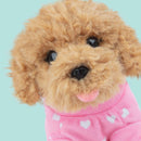 STUDIO PETS – KUSCHELTIER "COOKIE" (16CM)