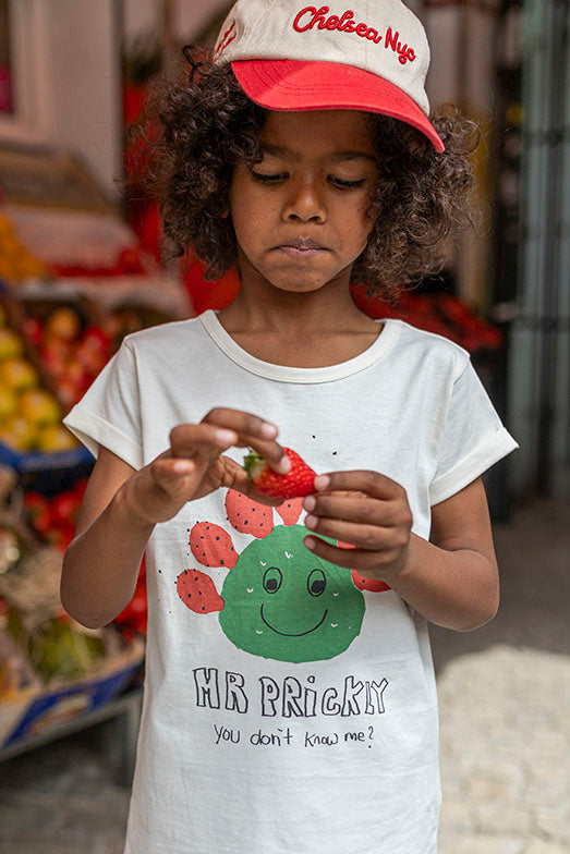 CAMISETA MR PRICKLY