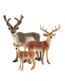 Schleich Hirsch 3er Set